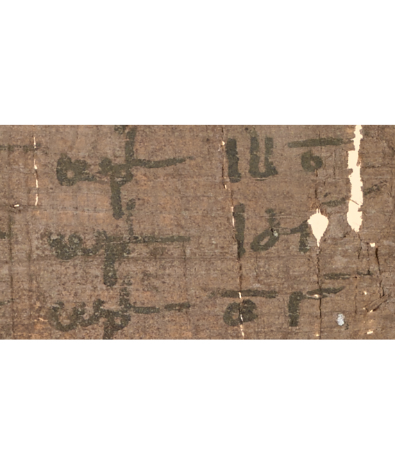 Papyrus fragment (detail)